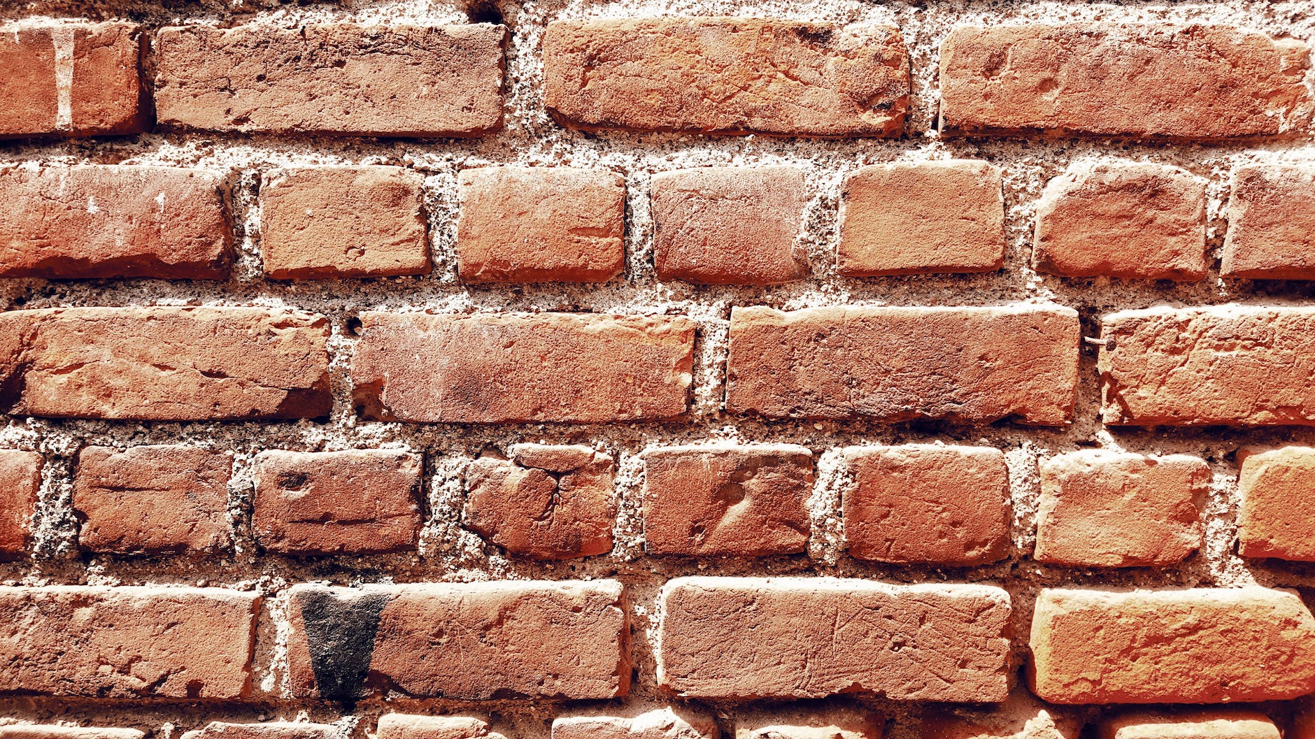 rough shabby brick wall of aged building