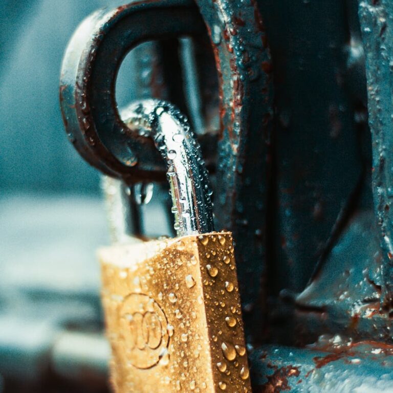 close up photography of wet padlock